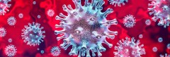 Financial Support for Coronavirus Hit Businesses